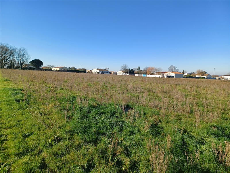 Terrain de lotissements - 434 m²