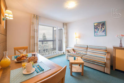 Studio - 24 m² - 1 pièce