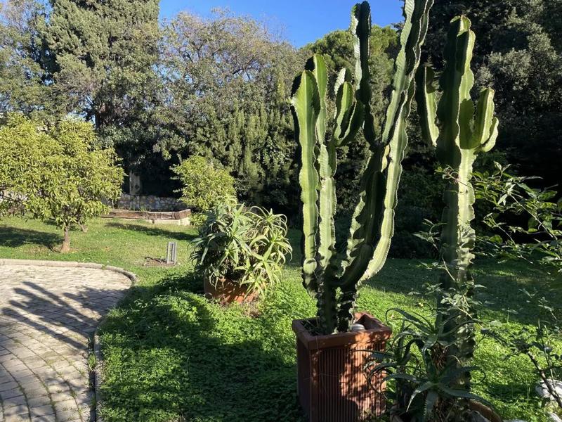 Studio - 29 m² - 1 pièce