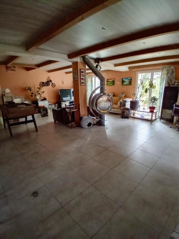 Maison en pierre - 255 m² - 8 pièces