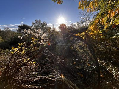 Terrain agricole - 646 m²