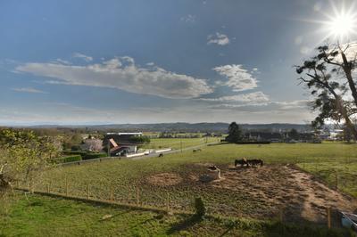 Ferme - 319 m² - 11 pièces