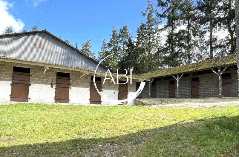 Maison ancienne - 110 m² - 5 pièces