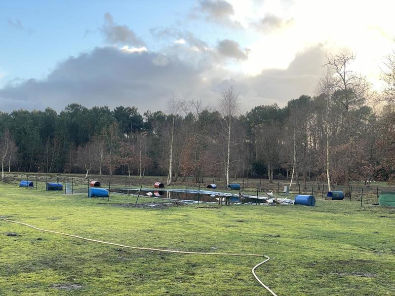 Maison - 138 m² - 5 pièces