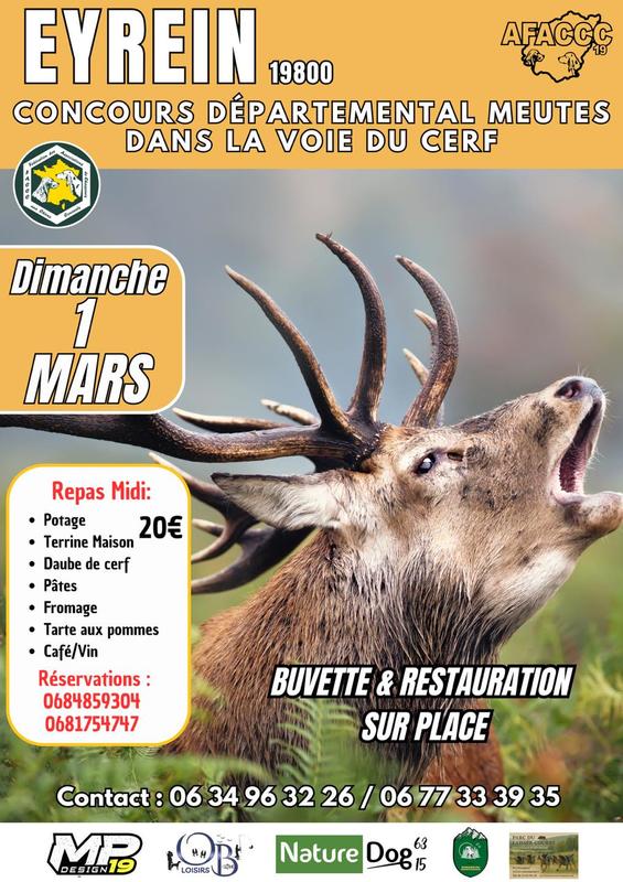 Concours départementale meutes dans la voie du cerf