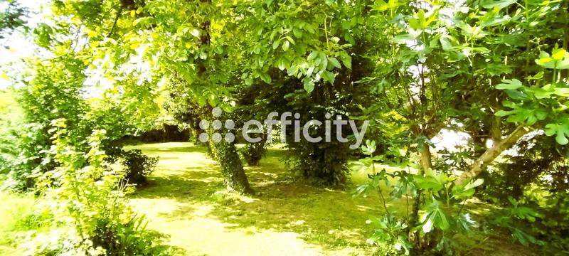 Maison - 160 m² - 7 pièces