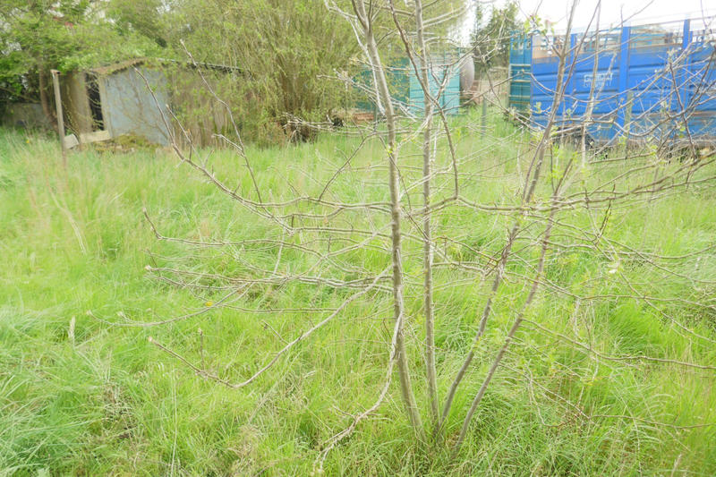 Maison - 70 m² - 5 pièces