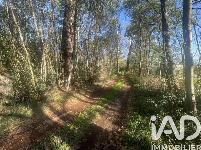 Maison - 175 m² - 5 pièces