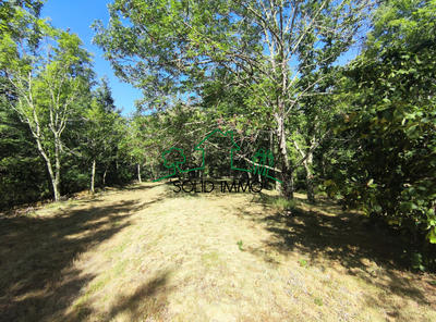 Maison - 50 m² - 3 pièces