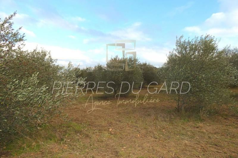 Terrain agricole - 9 299 m²