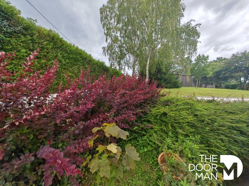 Propriété - 700 m² - 23 pièces