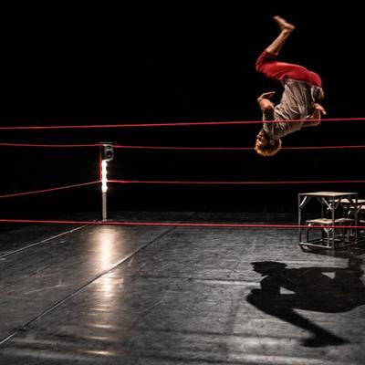 Jeune public - Bestiaire