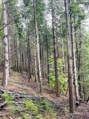 Terrain - 16 280 m²