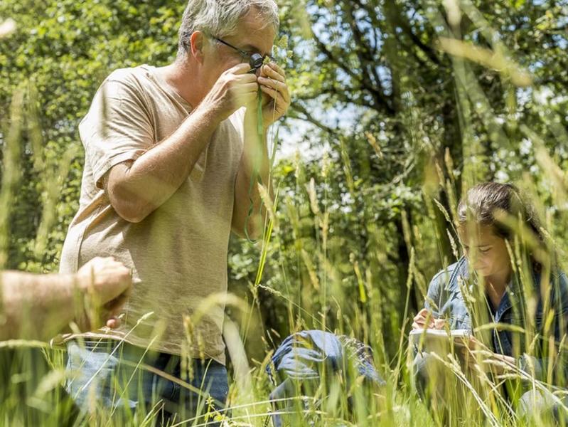 Cycle Tourlet : exploration des zones humides