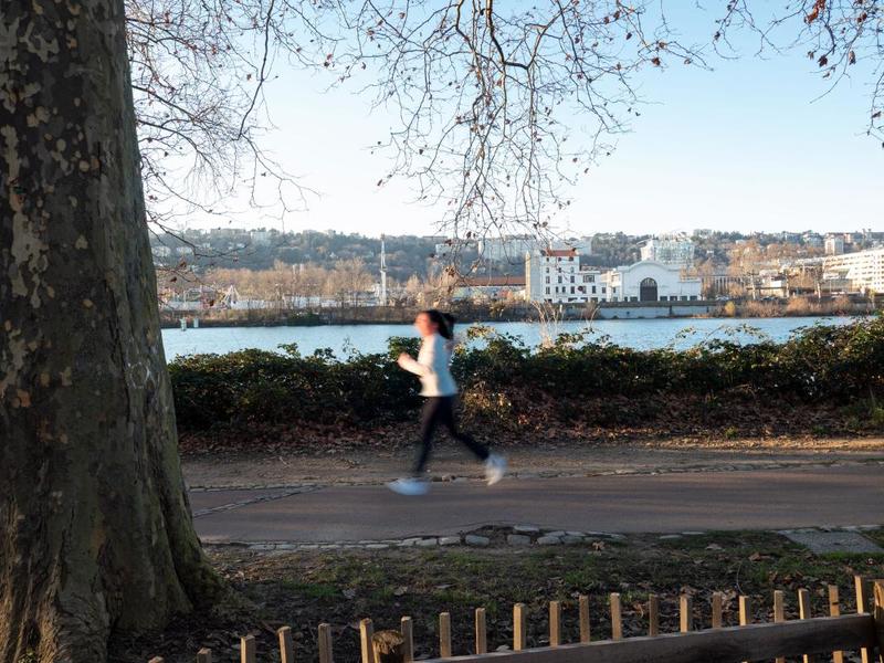 Appartement - 51 m² - 2 pièces