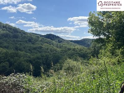 Propriété - 230 m² - 7 pièces