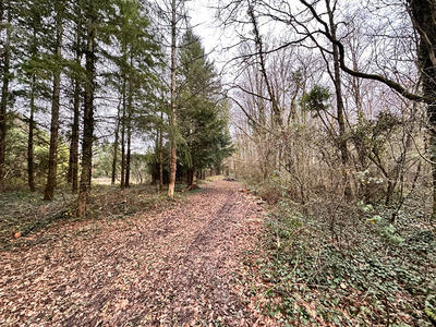 Terrain de loisirs - 23 143 m²