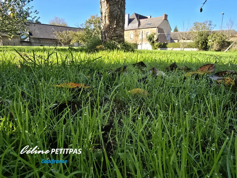 Terrain constructible - 465 m²