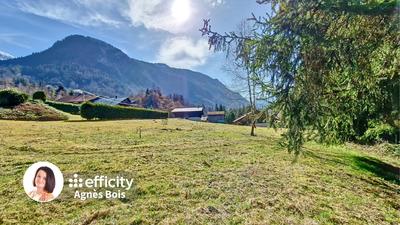 Terrain - 3 596 m²