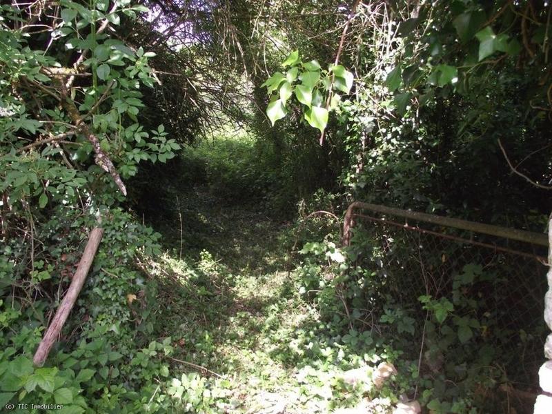 Terrain constructible - 1 271 m²