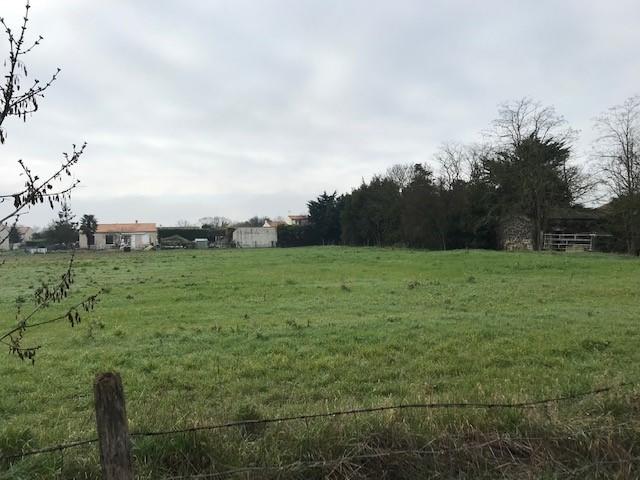 Terrain constructible - 250 m²