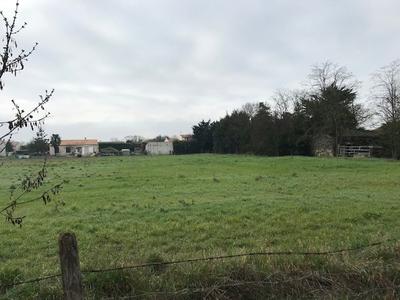 Terrain constructible - 250 m²