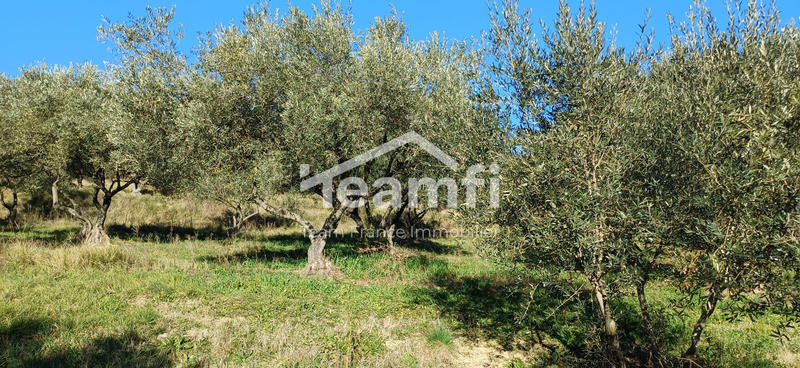 Terrain - 2 504 m²
