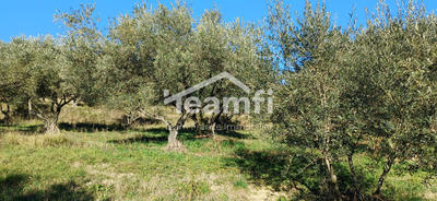 Terrain - 2 504 m²