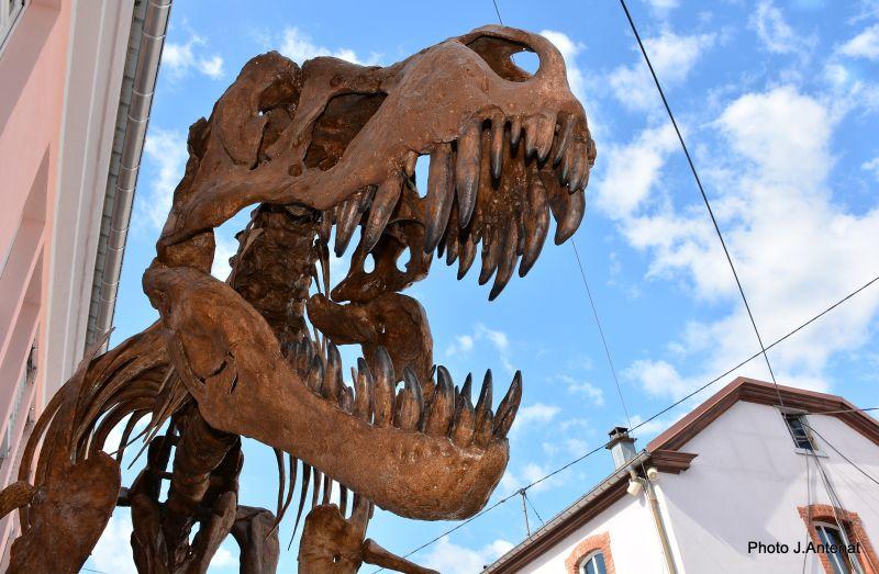 61ème édition : Mineral &amp; Gem - Nuances de Fer