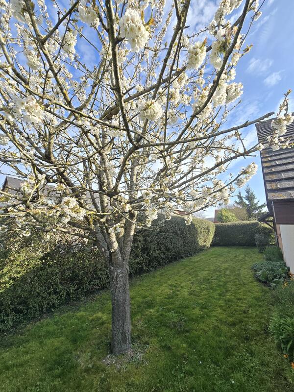 Maison - 109 m² - 5 pièces