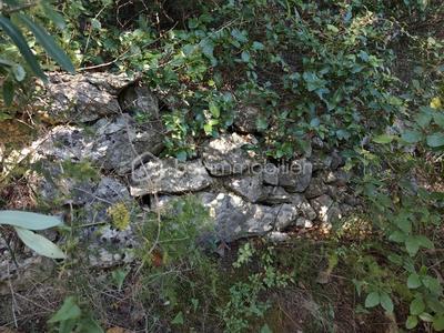 Terrain agricole - 1 625 m²