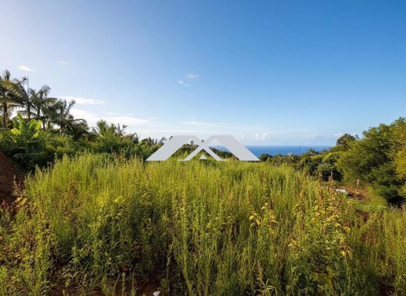 Maison ancienne - 70 m² - 3 pièces