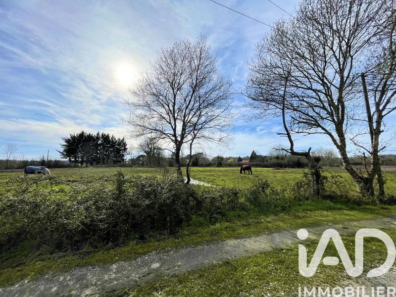 Maison - 113 m² - 5 pièces