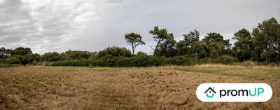 Terrain de loisirs - 5 700 m²