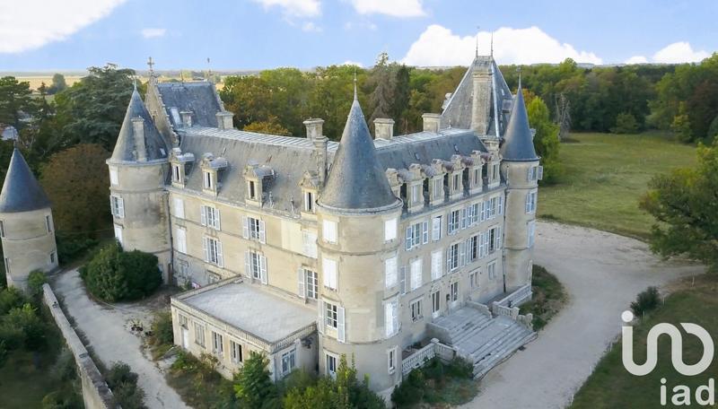 Château - 4 200 m² - 72 pièces