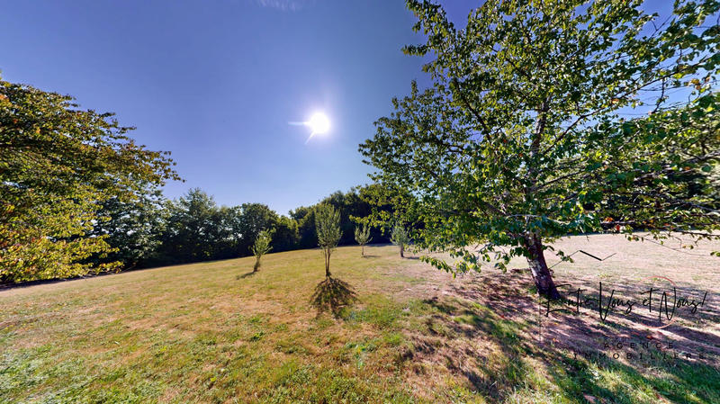 Maison ancienne - 274 m² - 14 pièces