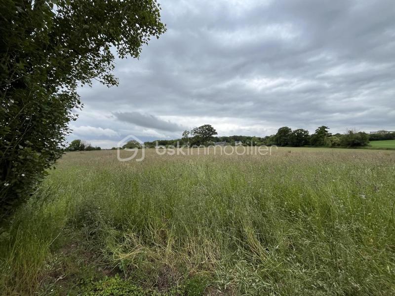 Maison de campagne - 65 m² - 3 pièces