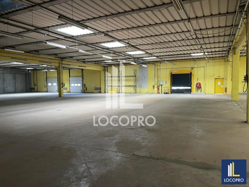 Local d'activité / Entrepôt - 3 000 m²
