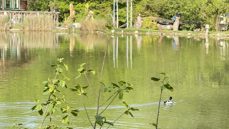 Terrain - 13 420 m²