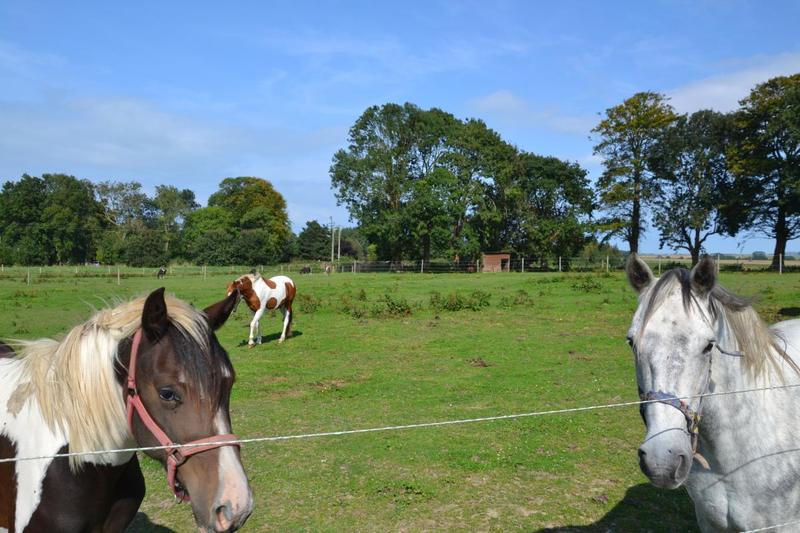 Maison de domaine équestre - 85 m²