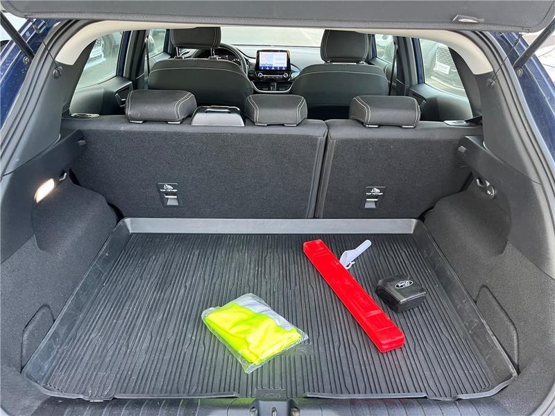 Ford Puma II 1.0 Flexifuel 125 Ch Mhev s&amp;S Bvm6 Titanium