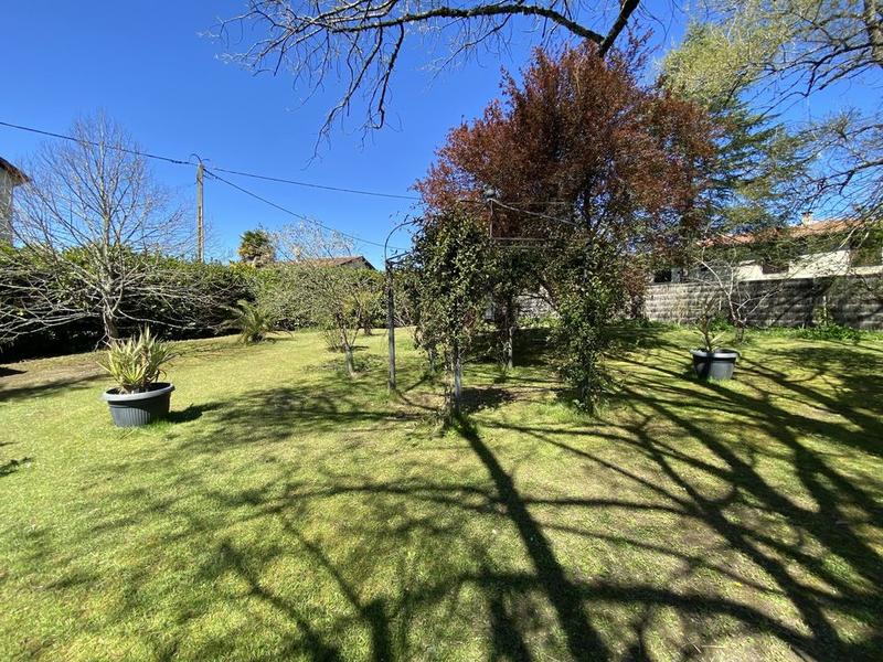 Appartement - 556 m² - 20 pièces