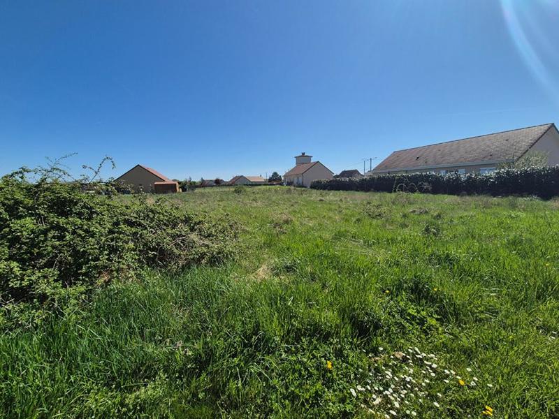 Terrain constructible - 1 132 m²