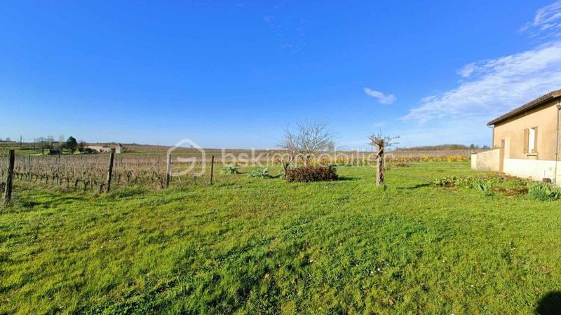 Propriété viticole - 472 m² - 14 pièces