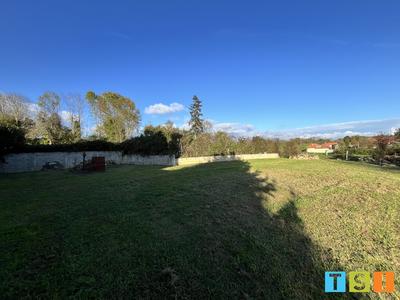Terrain - 803 m²
