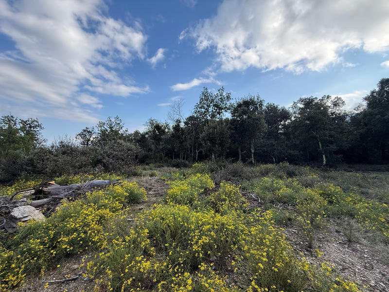 Terrain - 76 380 m²