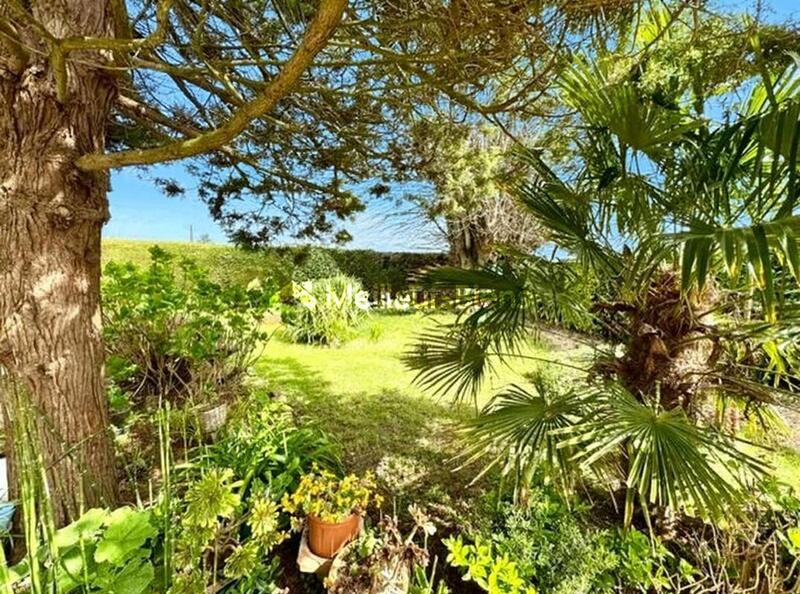 Maison en pierre - 79 m² - 4 pièces