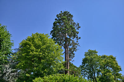 Appartement - 96 m² - 4 pièces