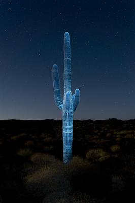Exposition du Prix Photographie &amp; Sciences à Niort