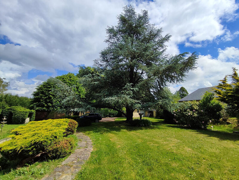 Maison - 184 m² - 4 pièces